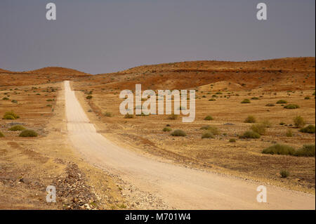 Road on Skeleton Coast Park, Namibia Stock Photo