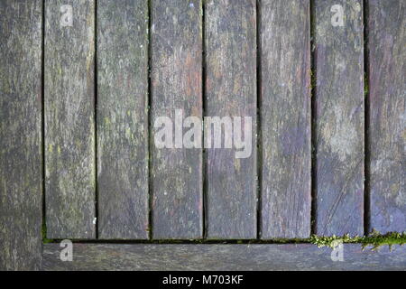 Old grey teak bench with green moss growing on it Stock Photo