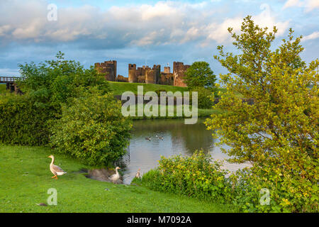 The moat and Caerphilly Castle in the warm evening light, Gwent, Wales, UK Stock Photo