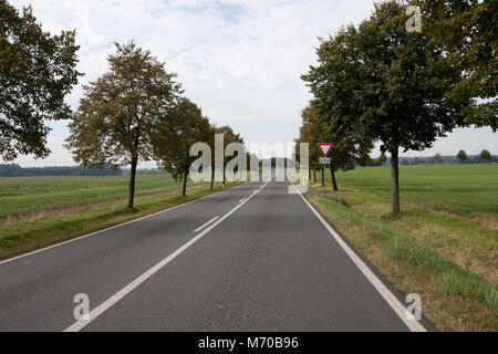 German country road in autumn near Leipzig with fields to its sides and a junction approaching, hence the give way streetsign Stock Photo