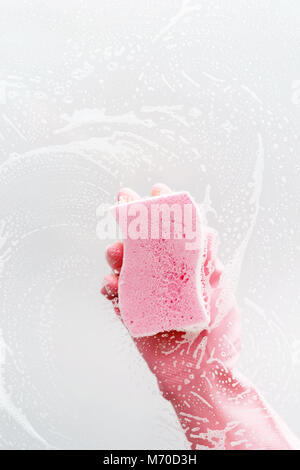 cleaning of the room, clear glass in soapy foam, a hand in a pink glove and a sponge washes the window Stock Photo