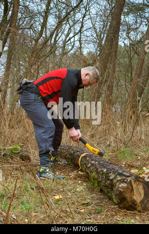 chopping wood for a fire, chopping wood with an axe in the woods Stock Photo