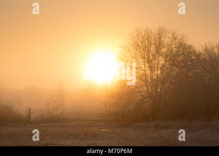 Sun rising just above horizon in fog across a rural landscape, in hazy oranges and yellows