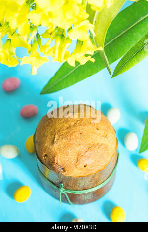 Home Baked Easter Sweet Cake Panettone in Paper Form Multicolored Speckled Chocolate Candy Eggs Scattered on Blue Tabletop Spring Yellow Flowers Stock Photo