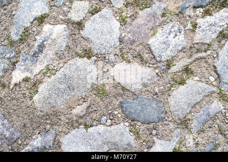 Seamless texture of a paving stone track on a green grass. Can be used as a background for your design or as a texture in computer graphics and game d Stock Photo