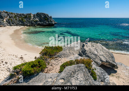 Little Parakeet Bay on Rottnest Island. Stock Photo