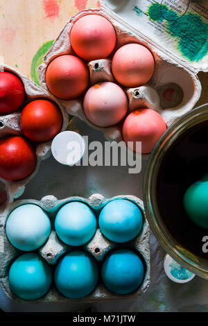 Dyeing eggs for Easter holidays, colored eggs with blue tint and different tonality ainside a package over a gray concrete background Stock Photo