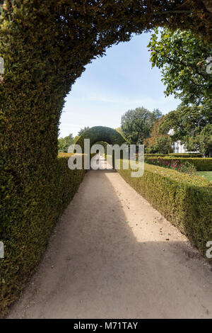 Gallery of tailored boxwood hedges and arches in the gardens of Mateus Palace, Vila Real Portugal Stock Photo