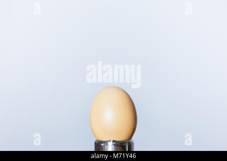 Isolated brown egg on a white background held on a metal egg cup  Picture of an Easter raw brown egg facing a white background standing on a metal egg Stock Photo
