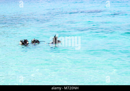 diving lesson in sea Stock Photo