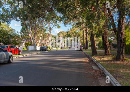 View of suburban Caringbah South. Local street. Caringbah South. AUSTRALIA Stock Photo