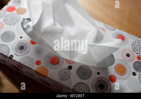 white tissues in decorative patterned box Stock Photo