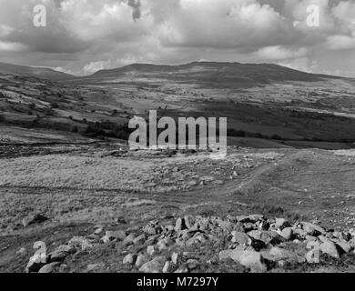 Pen y Gaer Iron Age hillfort, North Wales: view NNW over chevaux-de-frise defences (small upright stones) & linear earthwork outside the W entrance. Stock Photo