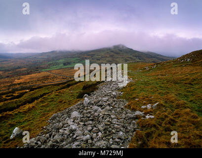 Pen y Gaer Iron Age hillfort, North Wales: view WNW along southern ramparts to the peak of Penygader. Up to three ramparts (stone, and banks and ditch Stock Photo