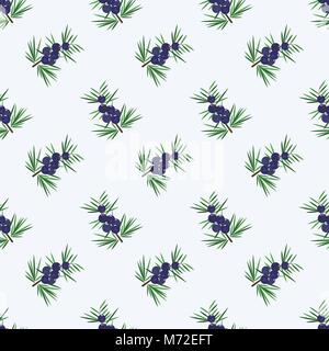 Seamless background image colorful tropical fruit juniper berry Stock Vector