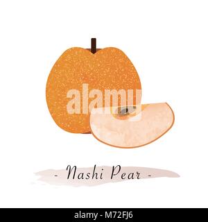 Colorful watercolor texture vector healthy fruit nashi pear Stock Vector