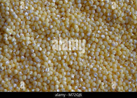 Yellow grain millet as texture or background The concept of proper nutrition and healthy lifestyle. Top view, close-up as background or texture Stock Photo