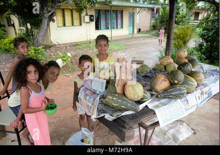 Girls support their parents by selling pumpkins on the roadside after school. Their mothers' watch over them from the homes behind the stall. The children are happy and feel safe. The weather is hot and humid. Stock Photo