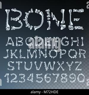 Bone Font Vector. Letters Anatomy. ABC Alphabet. Skeleton Style. Hell Scary Alphabet. Isolated Transparent Illustration Stock Vector
