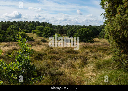 Rusland is a partially protected area designated for EU habitat area. With dry dwarf shrubs, heath, hills and slopes Stock Photo