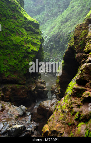 A rush of water carves its way through the moss-covered rocks beneath Catarata del Toro in Toro Amarillo, Costa Rica Stock Photo