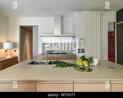7-8-9/2009 PUBBLICATO SU RIABITA  Progetto arch. Anna Bartoli  detail of a vegetables on the marble work top near to steel sink and tap , in the moder Stock Photo