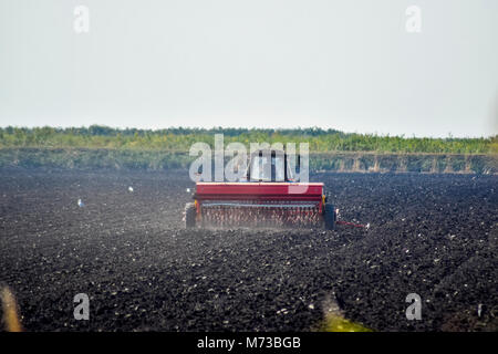 Tractor. Agricultural machinery tractor. Tractor with a seeder in the field. sowing seeds in the soil. Stock Photo
