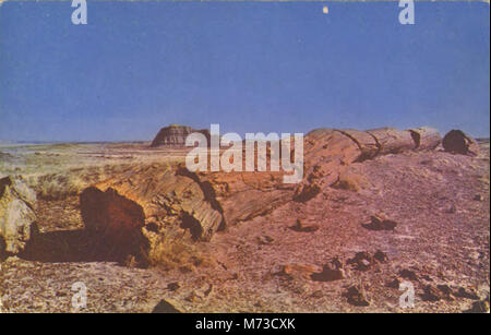 Adamana AZ - Petrified Forest National Monument (NBY 436114) Stock Photo