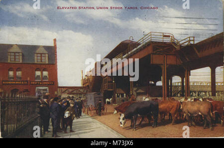 Elevated Station, Union Stock Yards, Chicago (NBY 414962) Stock Photo