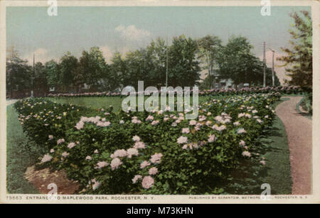 Entrance to Maplewood Park (NBY 22849) Stock Photo