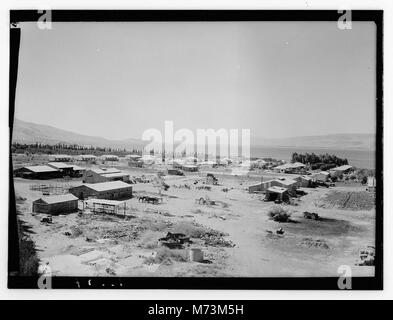 Ain Geb from the watch tower looking towards (S.W.) Semakh LOC matpc.12649 Stock Photo