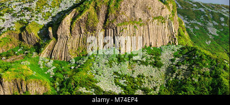 Rocha dos Bordões (Bordões rock), a volcanic rock formation, Flores island. Azores, Portugal Stock Photo