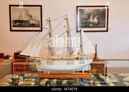 Whaling boat made of whale bone. Santa Cruz museum, Flores island. Azores, Portugal Stock Photo