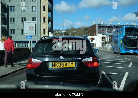 A dog in the rear window of a car. Stock Photo