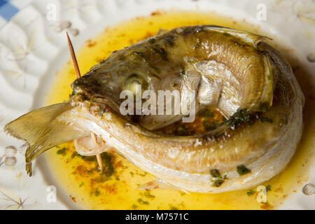 Whiting-merlangius merlangus-‘chasing its tail’ roasted in olive oil. Whiting were called the invalid fish as it was easily digested by the unwell. Stock Photo
