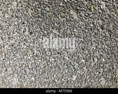 stone texture. Abstract background, empty template. Selective focus. Stock Photo