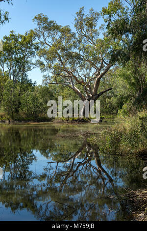 John Cummins Reserve, Wetlands, Yea, Victoria, Australia Stock Photo ...