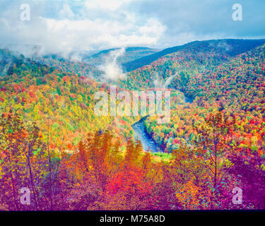 Autumn forest at World's End State Park, Pennsylvania LOyalsock Canyon   Appalachian MOuntains Stock Photo