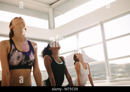 Three women practicing the cobra pose during yoga class at health center. Group of young people doing cobra pose in row at the yoga studio. Stock Photo