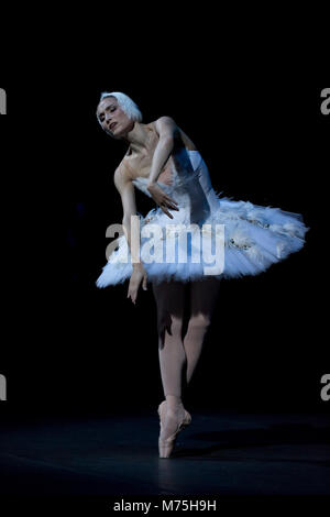 Swan lake prima ballerina female ballet dancer standing on her toes in toe  shoes rehearsal ballet dancer stage performance Stock Photo - Alamy