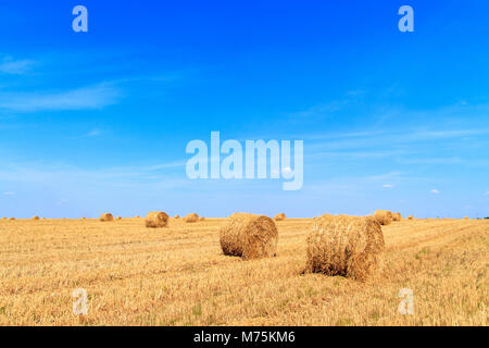 Straw bales waiting for collection in a field on autumn under a blue cloudy sky. Stock Photo