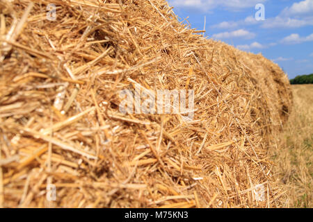 Straw bales waiting for collection in a field on autumn under a blue cloudy sky. Stock Photo