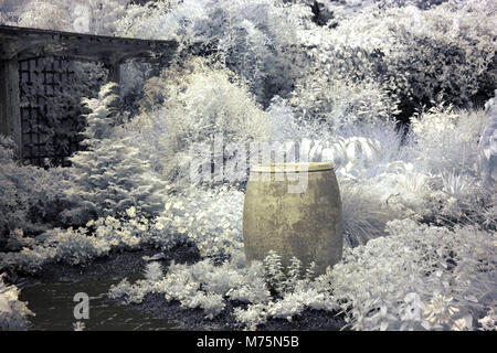 Infrared image of large planter pot in a garden with trellis in background Stock Photo