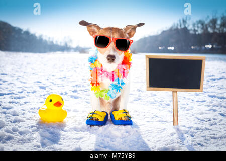 cool funny freezing icy dog in snow with sunglasses and flower chain , waiting for the summer to come very soon, banner to the side Stock Photo