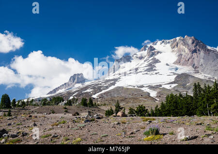 View of Mt Hood capped with snow and volcanic ash below.  Mt Hood National Forest, Oregon Stock Photo