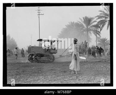 Medical College, Baghdad & road bldg. (i.e., building), Tractor pulling cart LOC matpc.13148 Stock Photo