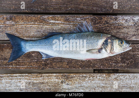 Freshly caught Sea-bass on wooden boards Stock Photo