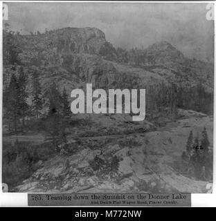 Teaming down the Summit on the Donner Lake and Dutch Flat Wagon Road, Placer County LCCN2002723810 Stock Photo