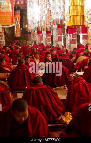 Tibetan Buddhist monks studying Buddhist scripture in Drepung Monastery, Lhasa, Tibet, China, Asia Stock Photo