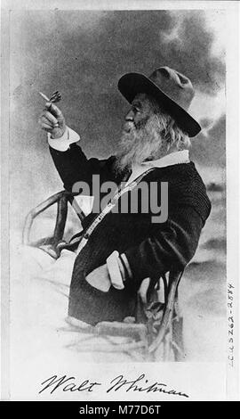 Walt Whitman, half-length portrait, seated, facing left, wearing hat and sweater, holding butterfly LCCN00650594 Stock Photo